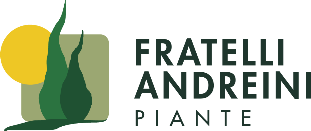 Andreini Piante logo 15 09 2023 11 24 42 18 09 2023 10 24 52